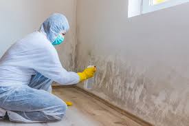 Best Forensic Mold Investigation  in Portage, PA