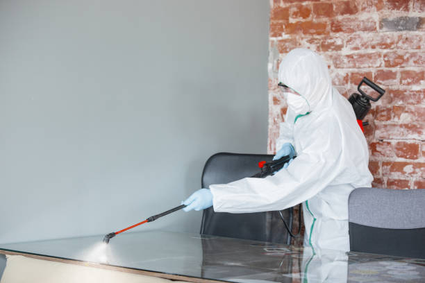 Best Residential Mold Inspection & Testing  in Portage, PA